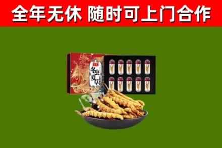 铜陵市回收冬虫夏草价格